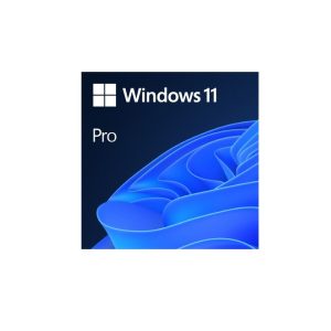 MS Windows 11 Professional 64-bit